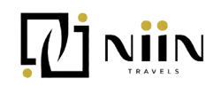 NIIN Travels Logo